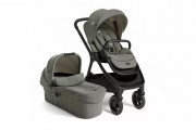 Finiti 2in1 - Evergreen Evergreen